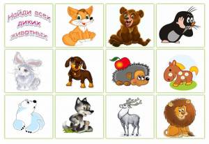 Раскраска дикие животные для детей 4 5 лет #15 #57436
