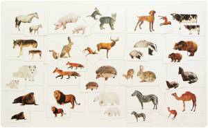 Раскраска дикие животные и их детеныши #35 #57612