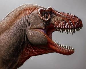 Раскраска динозавр рекс #7 #57886