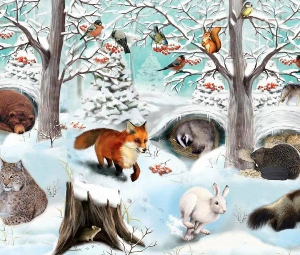 Дикие животные весной картинки. Дикие животные зимой для детей. Зимовка диких животных для детей. Зимующие звери. Жители леса.