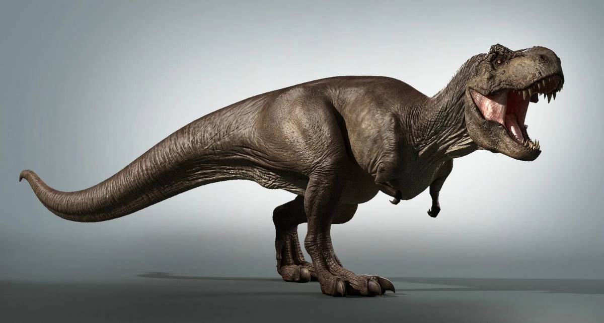 Картинка Динозавр тирекс #15