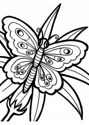 Раскраска для девочек бабочки #24 #61899