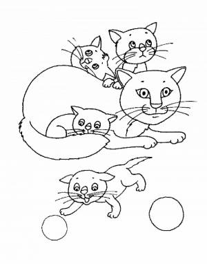 Раскраска для детей 6 7 лет котики #20 #65978