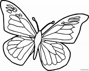 Раскраска для детей бабочки 5 6 лет #3 #66480