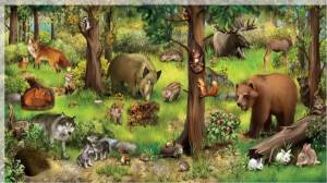 Раскраска для детей дикие животные #27 #66689