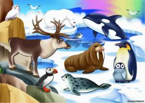 Раскраска для детей животные севера #1 #66740
