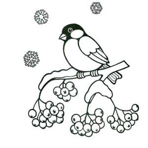 Раскраска для детей зимующие птицы 4 5 лет #33 #66925