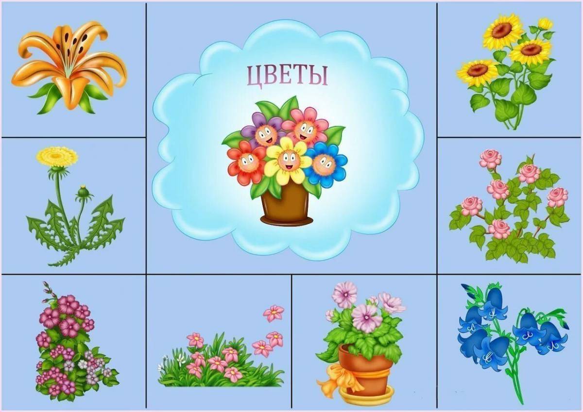 Цветы проект средняя группа