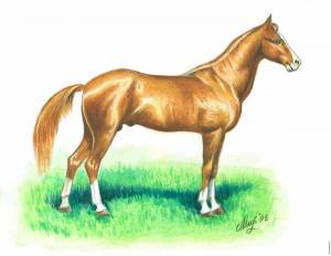 Раскраска для малышей лошадка #12 #68441