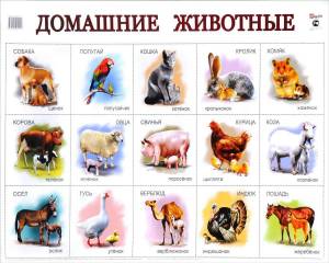 Раскраска домашние животные для детей 3 4 лет #15 #71719