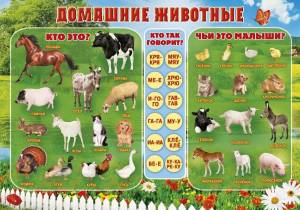 Раскраска домашние животные для детей 3 4 лет #29 #71733