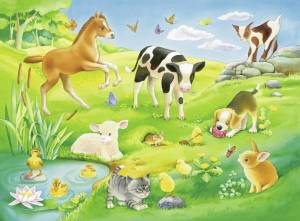 Раскраска домашние животные для детей 5 6 лет #7 #71787