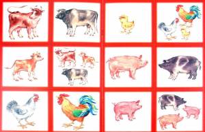 Раскраска домашние животные для детей 5 6 лет #36 #71816