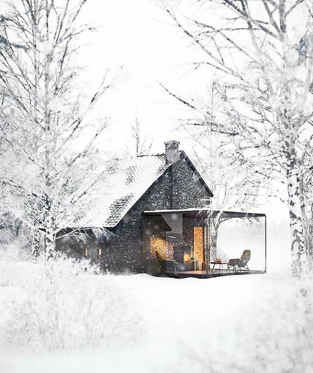 Дом зимний #15