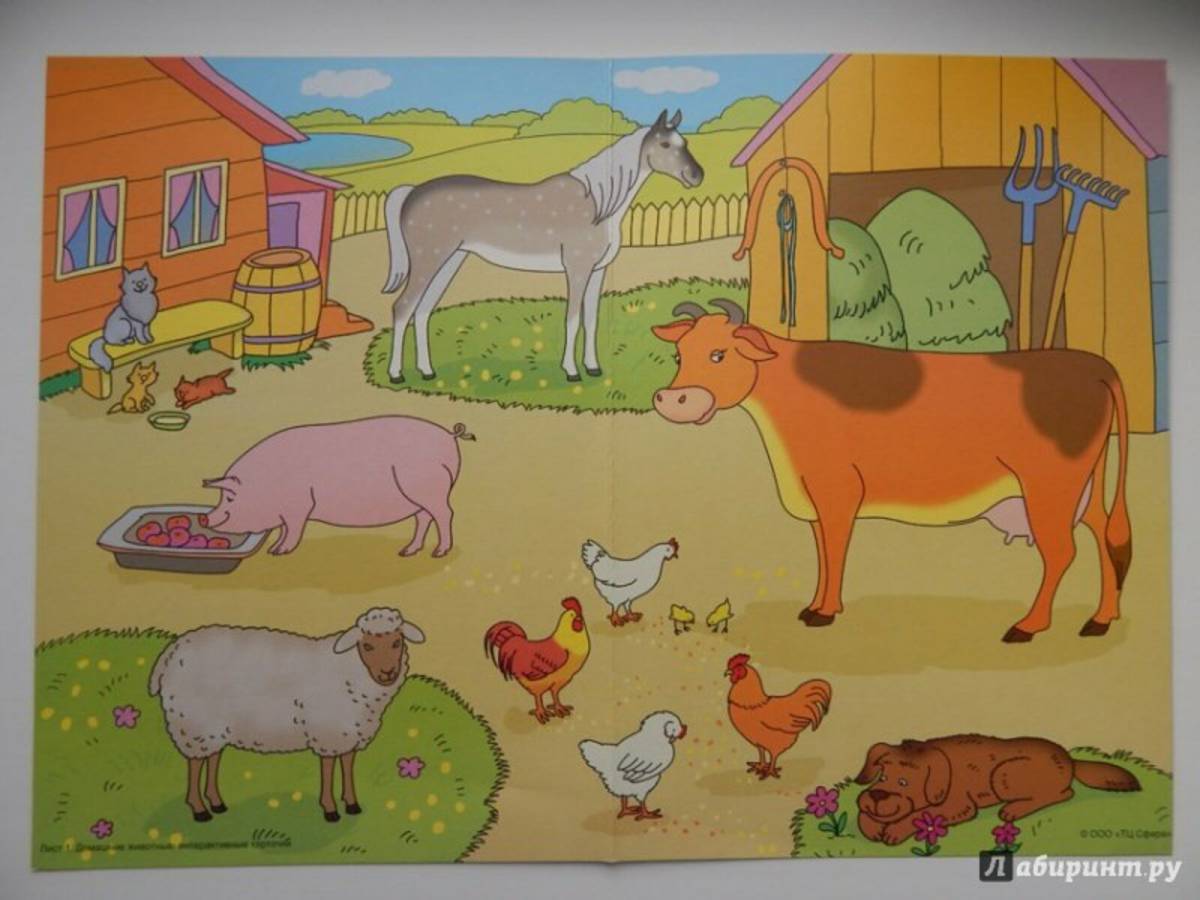домашние животные картинки для детского сада