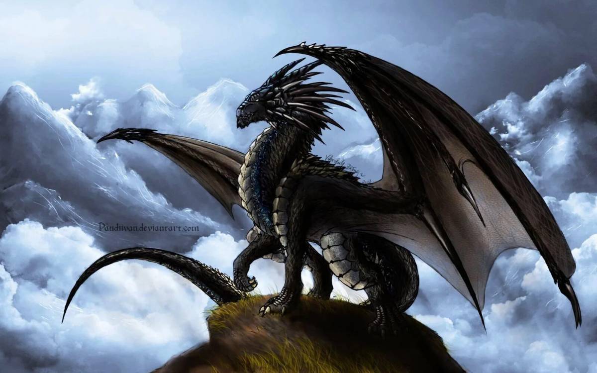 Imaging dragon. Агулшап дракон. Гебридский чёрный дракон. Дракон Блэк драгон. Красивый дракон.