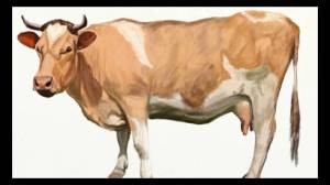 Раскраска корова для детей #28 #4704