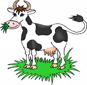 Раскраска корова для детей #32 #4708