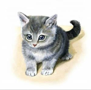Раскраска котики для детей #8 #4838