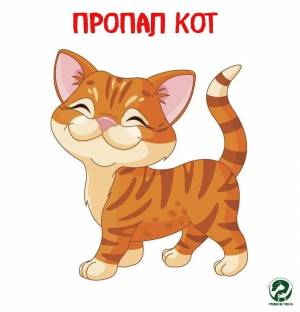 Раскраска котики для детей #27 #4857