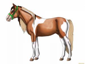Раскраска лошадь для детей #26 #5930