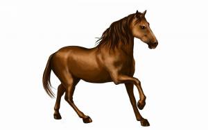 Раскраска лошадь для детей #28 #5932