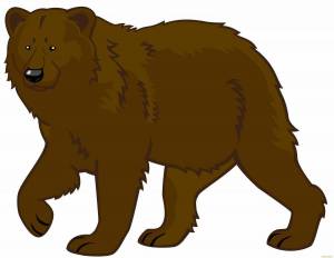 Раскраска медведь для детей #28 #6605