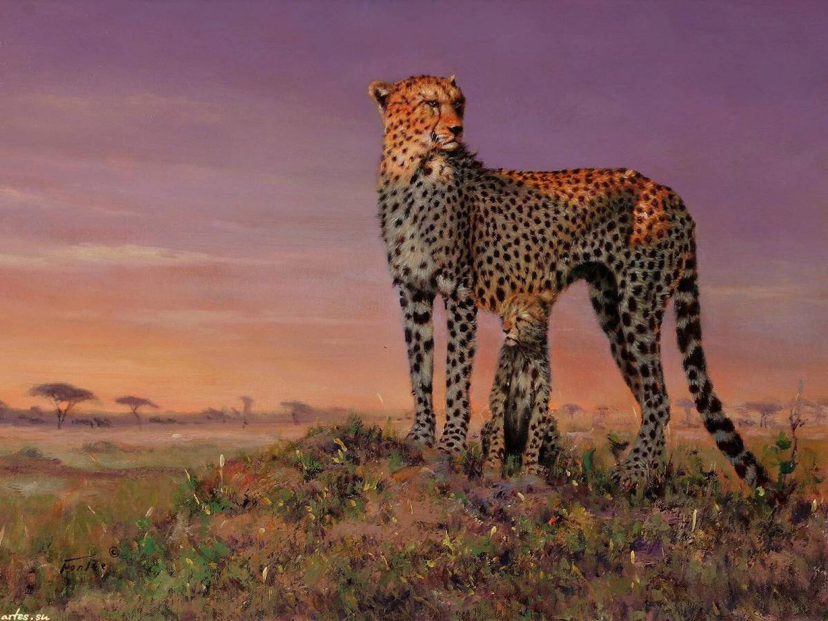 Картина животный мир. Художник Eric Forlee. Африка Саванна гепард. Eric Forlee художник тигры. Дикие животные Африки гепард.