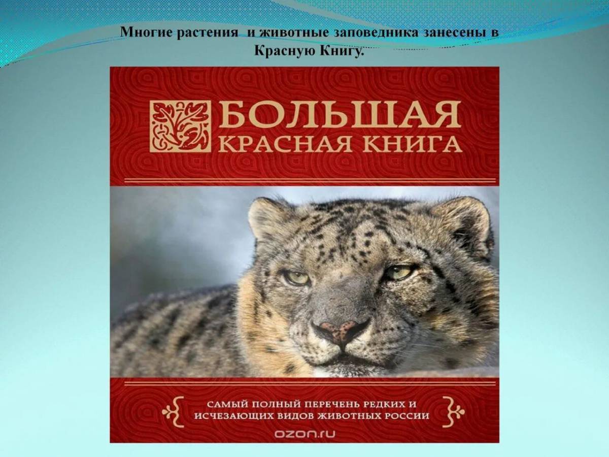 Картинки с красной книги