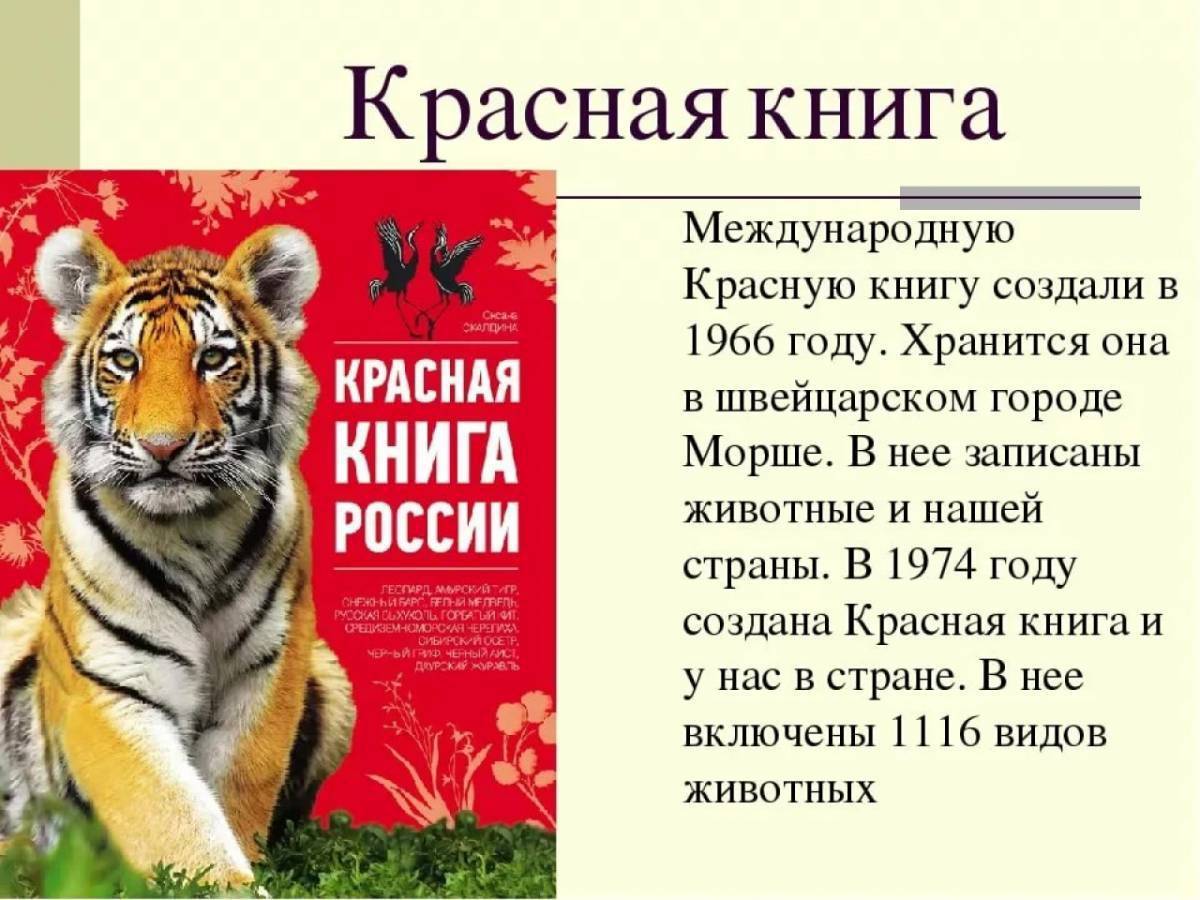 Презентация о животном из красной книги 4 класс