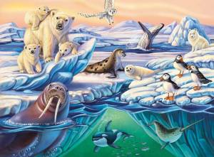 Раскраска животные арктики #1 #76567