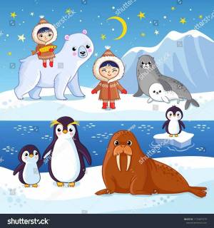 Раскраска животные арктики и антарктики для детей #9 #76614