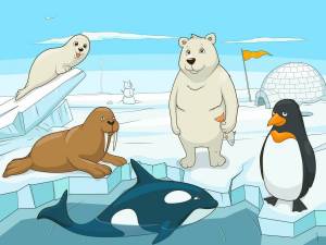 Раскраска животные арктики и антарктики для детей #38 #76643