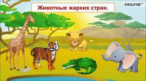 Раскраска животные жарких стран для дошкольников #36 #76941