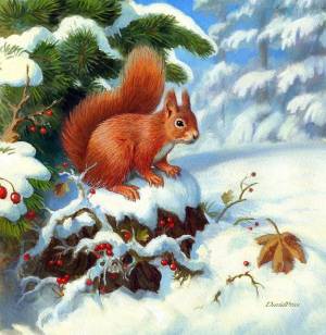 Раскраска животные зимой в лесу для детей #2 #76983