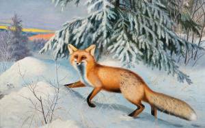 Раскраска животные зимой в лесу для детей #3 #76984