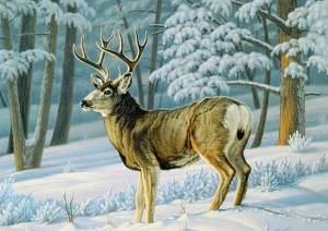 Раскраска животные зимой в лесу для детей #13 #76994