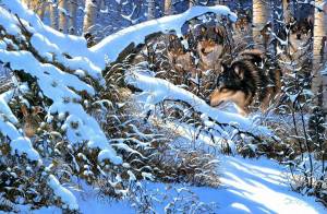 Раскраска животные зимой в лесу для детей #28 #77009