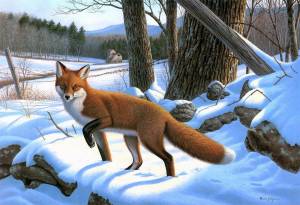 Раскраска животные зимой в лесу для детей #34 #77015