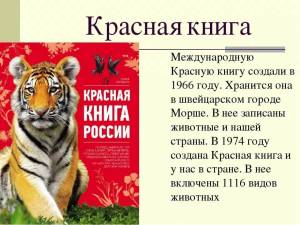 Раскраска животные красной книги #25 #77119