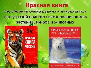 Раскраска животные красной книги #28 #77122