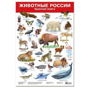 Раскраска животные красной книги россии #1 #77129