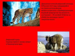Раскраска животные красной книги россии #14 #77142