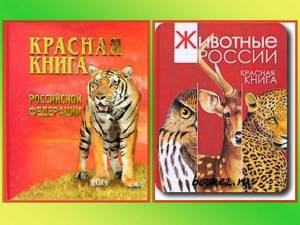 Раскраска животные красной книги россии #20 #77148