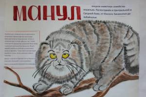 Раскраска животные красной книги россии #28 #77156