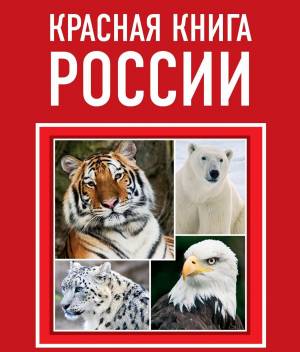 Раскраска животные красной книги россии #34 #77162