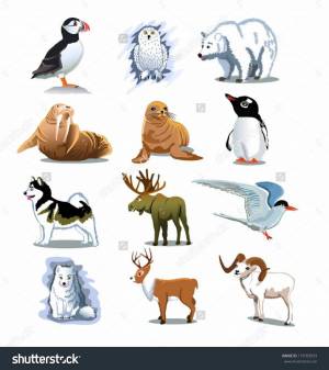 Раскраска животные севера для дошкольников #10 #77328