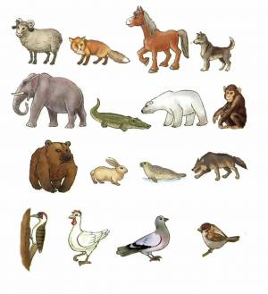 Раскраска животных для детей 5 6 лет #7 #77392