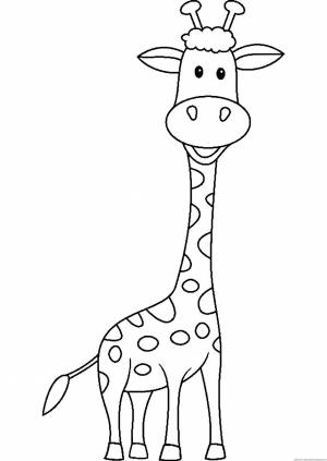 Раскраска жираф для детей 3 4 лет #6 #77554