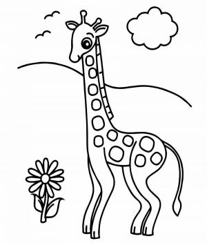 Раскраска жираф для детей 3 4 лет #15 #77563
